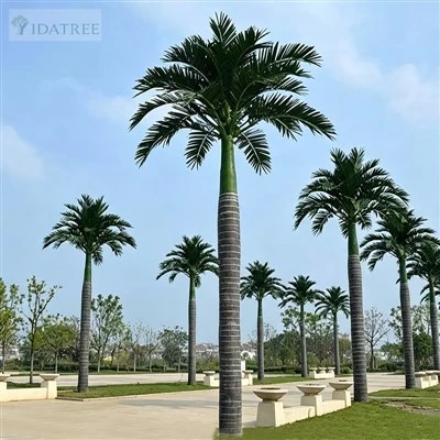 8m Fiberglass Artificial Royal Palm Tree