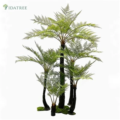 Artificial Alsophila Spinulosa Tree Fern